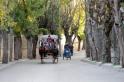 Calèche dans une rue de Büyükada