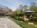 jardin japonais de Baltalimanı à Istanbul