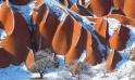 La neige en Cappadoce