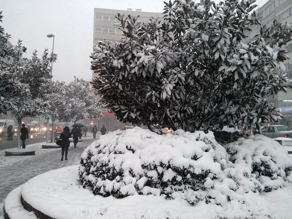 La végétation croule sous la neige à Istanbul