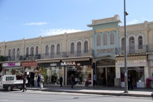 IMG_7981 copy
