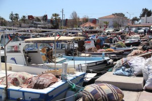 Port d'Iskele, Urla