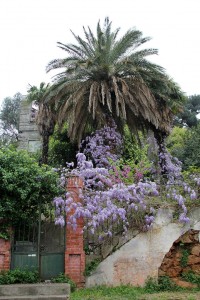 IMG_3724 copie