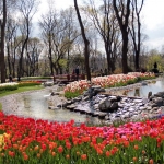 Parc d'Emirgan, Istanbul