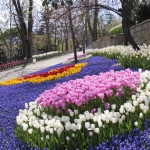 Parterre de fleurs dans le parc d'Emirgan