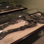 Momies, musée d'Amasya