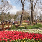 Parc d'Emirgan, Istanbul