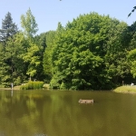 Arboretum Atatürk - Bahçeköy, Istanbul