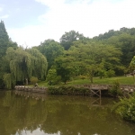 Arboretum Atatürk à Bahçeköy-Istanbul
