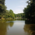 Un des plans d'eau de l'arboretum Atatürk d'Istanbul