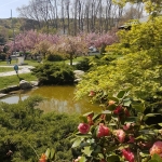 Baltalimanı, Istanbul - jardin japonais