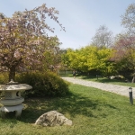 Dans le jardin japonais de Baltalimanı, Istanbul