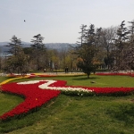 Festival de la Tulipe d'Istanbul, parc d'Emirgan