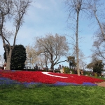 Le drapeau turc... en tulipes, parc d'Emirgan