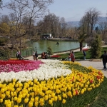 Un des plans d'eau du parc d'Emirgan