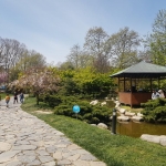 jardin japonais de Baltalimanı à Istanbul