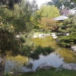 plan d'eau du jardin japonais Baltalimanı à Istanbul