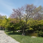 une allée du jardin japonais Baltalimanı, Istanbul