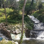 Parc de Yıldız à Istanbul