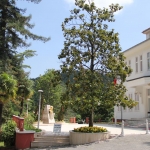 Maison Atatürk à Termal
