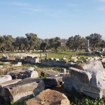 Temple de Dionysos à Teos