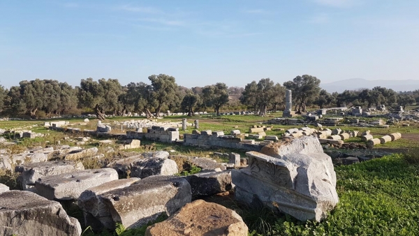 Temple de Dionysos à Teos